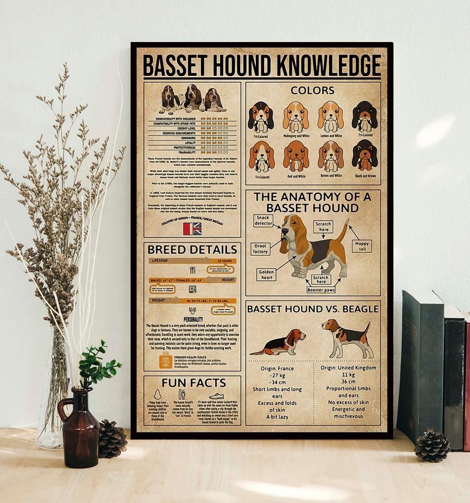 Basset Hound Knowledge Dog Poster, Canvas
