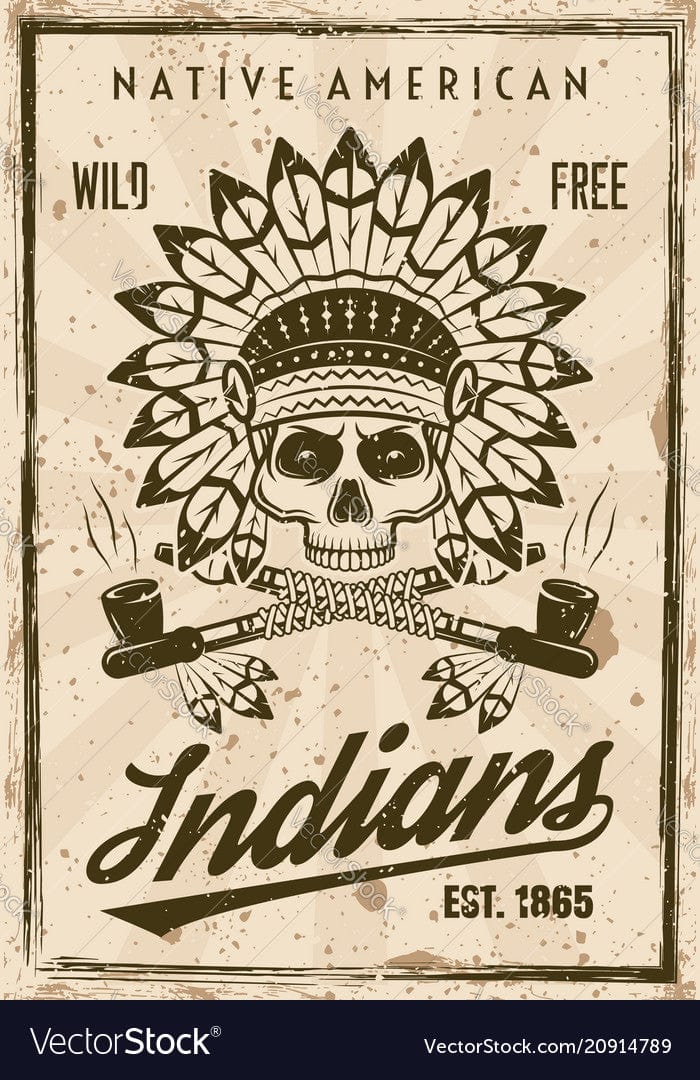 Native American Poster, Canvas