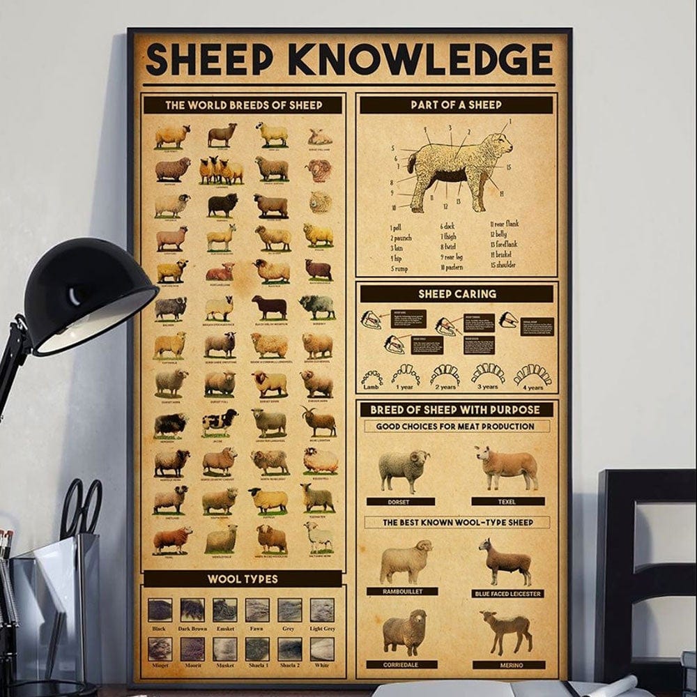 Sheep Knowledge Poster, Canvas